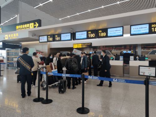 服務暖人心，真情助您行——地服公司高效保障廈航出入境包機紀實